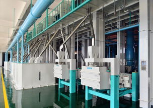 東方集團(tuán)現(xiàn)代農(nóng)業(yè)板塊加速新米生產(chǎn)，東方糧倉方正園區(qū)全力沖刺旺季